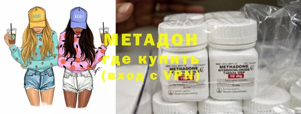 индика Ладушкин