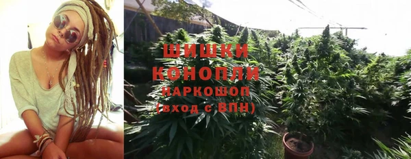 амф Лабытнанги