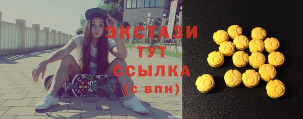 индика Ладушкин