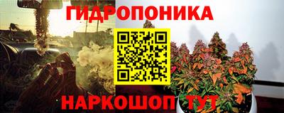 тгк Канаш
