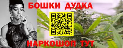 гидра Кандалакша