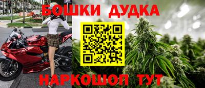 гидра Кандалакша