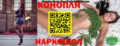 ECSTASY Камышлов